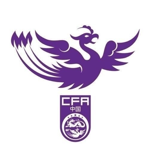  津媒：U17女足明日起兩戰(zhàn)日本定位整體實力，默契度有提升空間